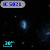 IC 5021