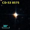 CD-53  8575