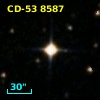 CD-53  8587
