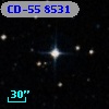 CD-55  8531