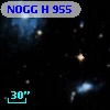 NOGG H  955