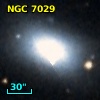 NGC  7029