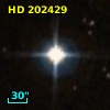 HD 202429