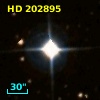 HD 202895