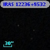 IRAS 12236+8532