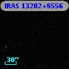IRAS 13202+8556