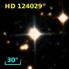 HD 124029