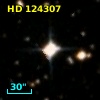 HD 124307