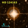 HD 124163