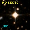 HD 123730