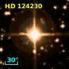 HD 124230