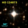HD 124873