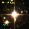 V* IR Lup