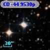 CD-44  9530p