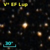 V* EF Lup