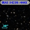 IRAS 14238-4443