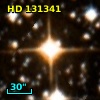 HD 131341