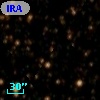 IRAS 14550-4905