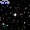 TYC 8284-1259-1
