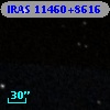 IRAS 11460+8616