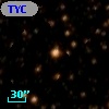 TYC 8303-384-1