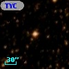 TYC 8303-769-1
