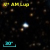 V* AM Lup