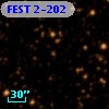 FEST 2-202