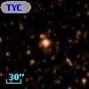 TYC 8303-569-1