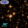 TYC 8303-1013-1