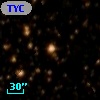TYC 8303-1236-1