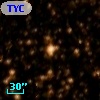TYC 8307-1195-1