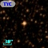 TYC 8307-1497-1