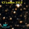 Cl Loden 2313