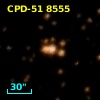 CPD-51  8555