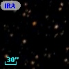 IRAS 15528-5431