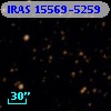 IRAS 15569-5259