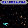 IRAS 15569-5309