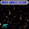 IRAS 16022-5239