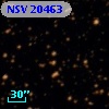 NSV 20463
