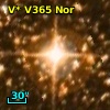 V* V365 Nor