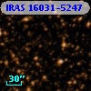 IRAS 16031-5247