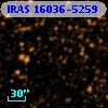IRAS 16036-5259