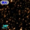 IRAS 16041-5300