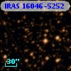 IRAS 16046-5252