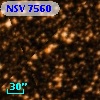 NSV  7560