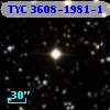TYC 3608-1981-1