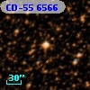 CD-55  6566