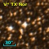 V* TX Nor