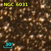 NGC  6031